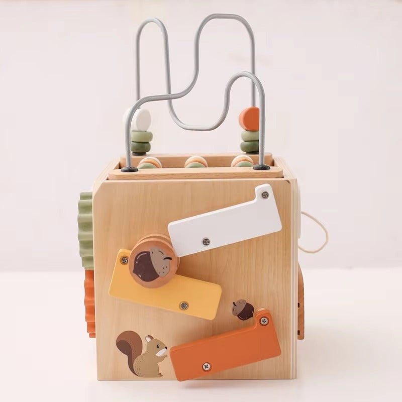 Wooden Multifunctional Montessori Cube