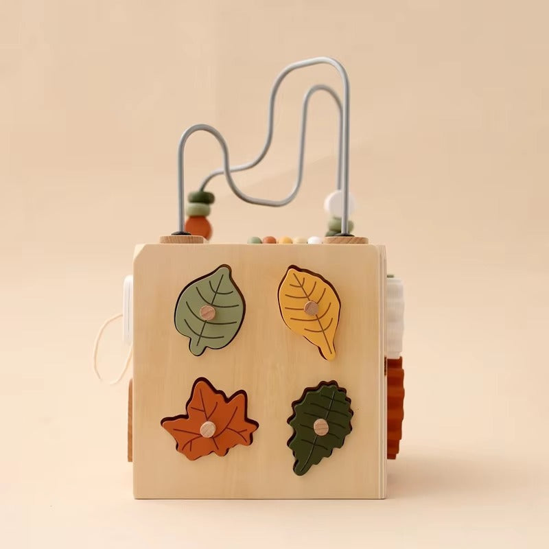 Wooden Multifunctional Montessori Cube