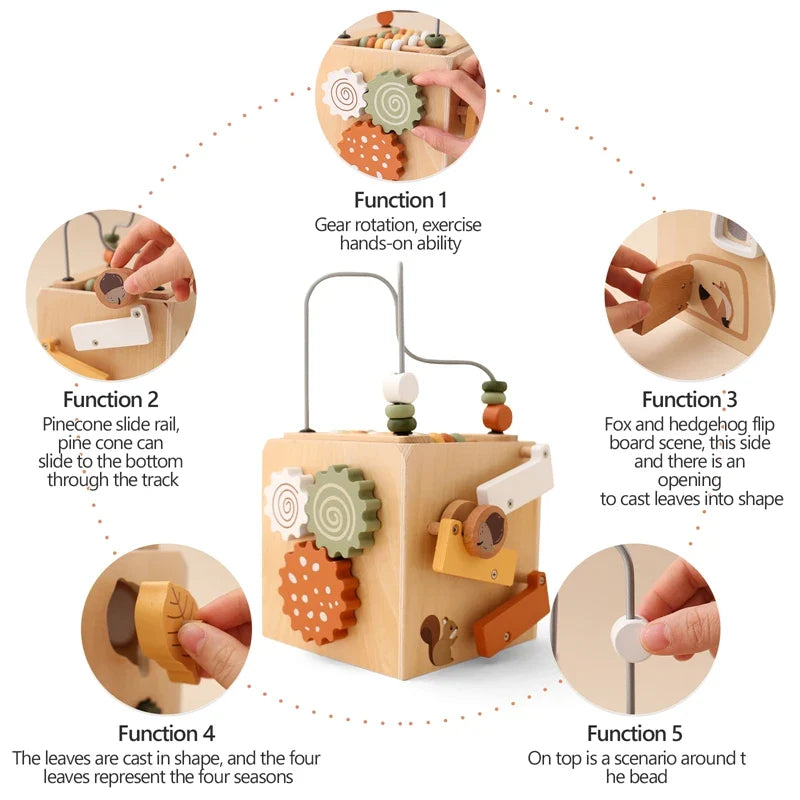 Wooden Multifunctional Montessori Cube
