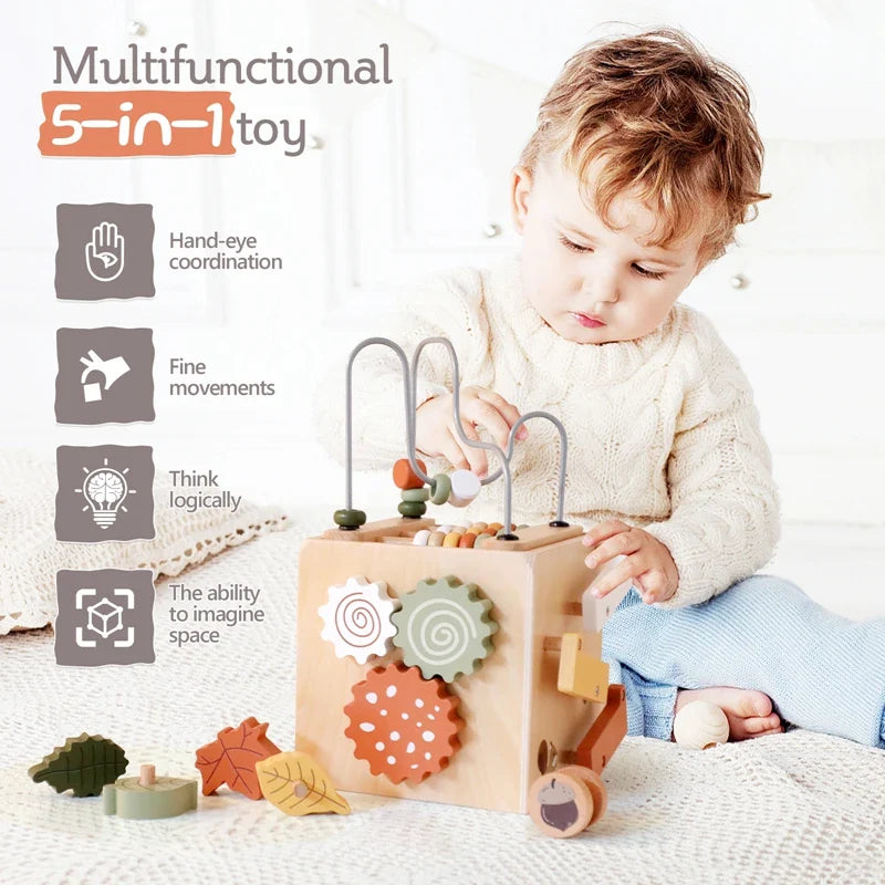 Wooden Multifunctional Montessori Cube