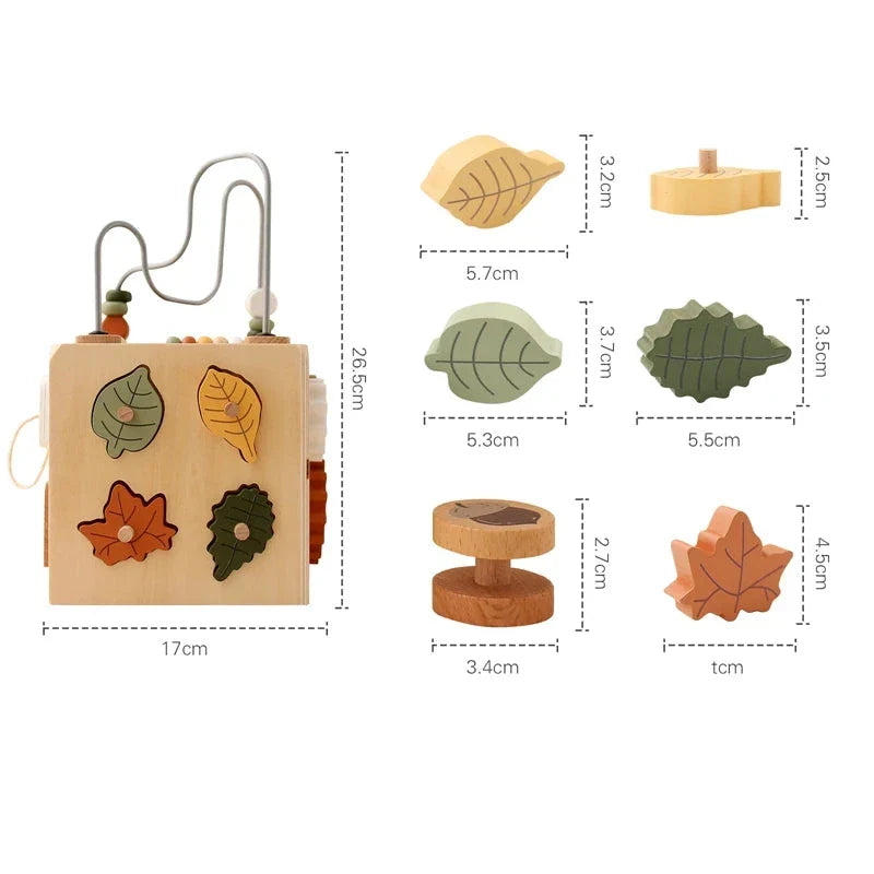 Wooden Multifunctional Montessori Cube