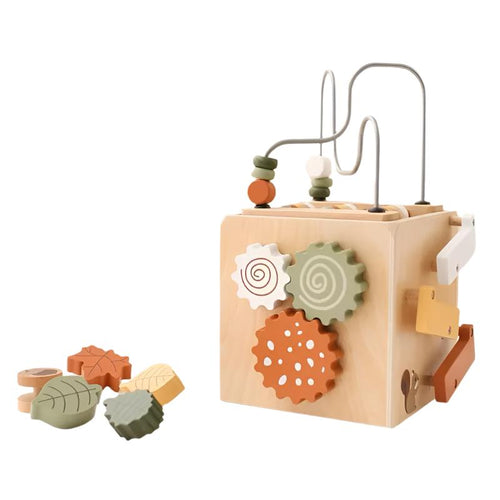 Wooden Multifunctional Montessori Cube
