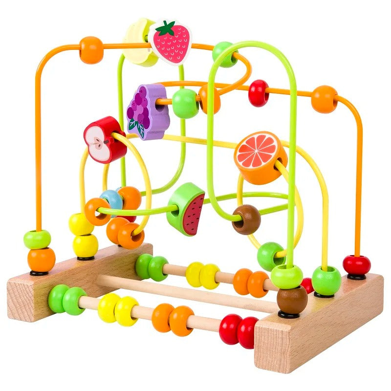 Montessori Maze Puzzle