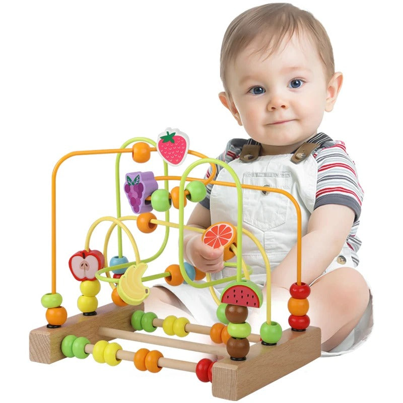 Montessori Maze Puzzle