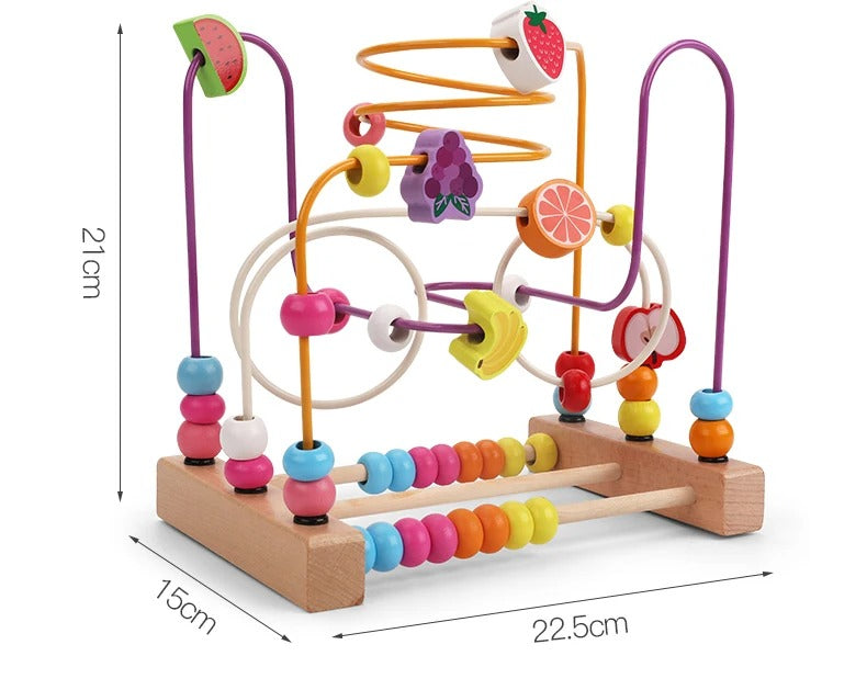 Montessori Maze Puzzle