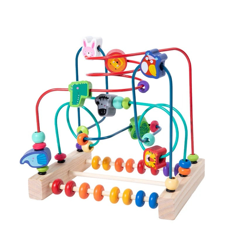 Montessori Maze Puzzle