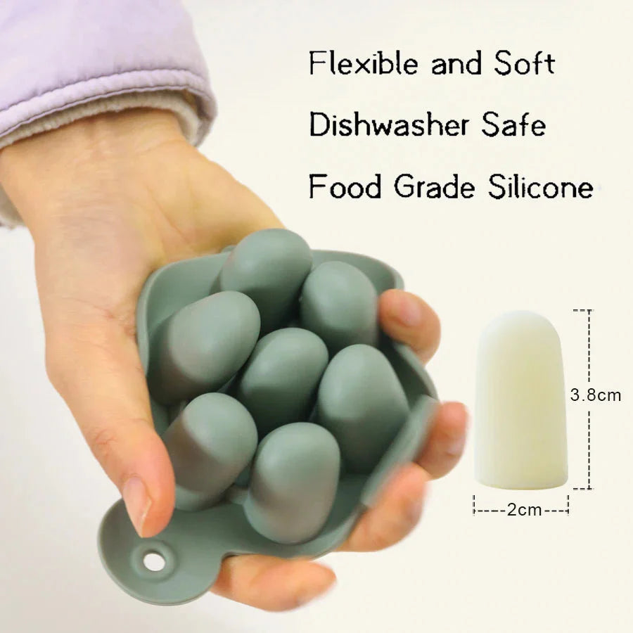 Fruit Feeder & Popsicle Set