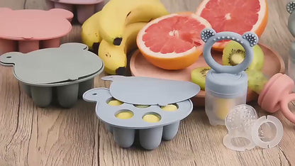 Fruit Feeder & Popsicle Set